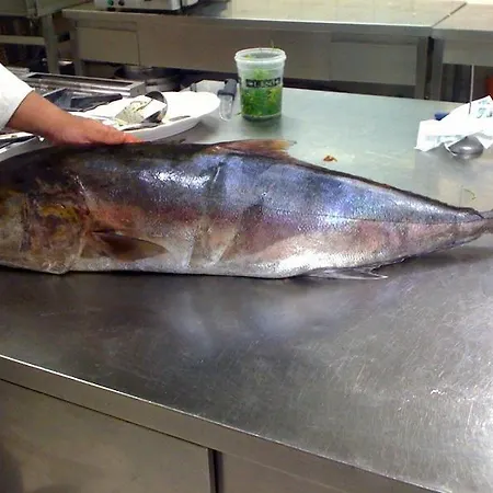 Touring 4* Fiorano Modenese