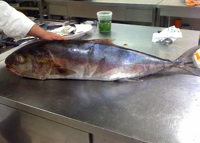 Touring 4* Fiorano Modenese